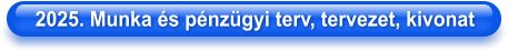 2025. Munka és pénzügyi terv, tervezet, kivonat
