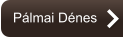 Pálmai Dénes