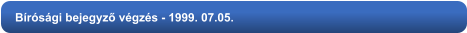 Bírósági bejegyző végzés - 1999. 07.05.