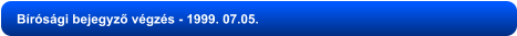 Bírósági bejegyző végzés - 1999. 07.05.